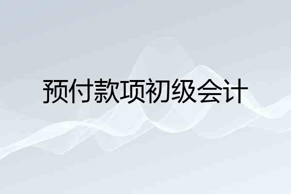 预付款项初级会计
