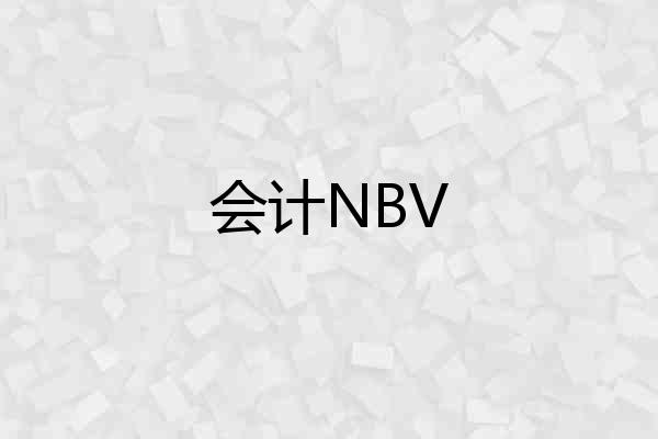 会计NBV