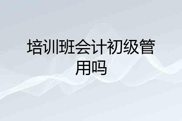 培训班会计初级管用吗