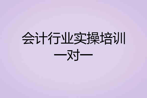 会计行业实操培训一对一