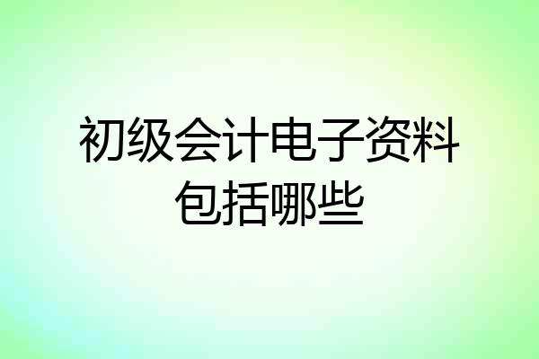 初级会计电子资料包括哪些