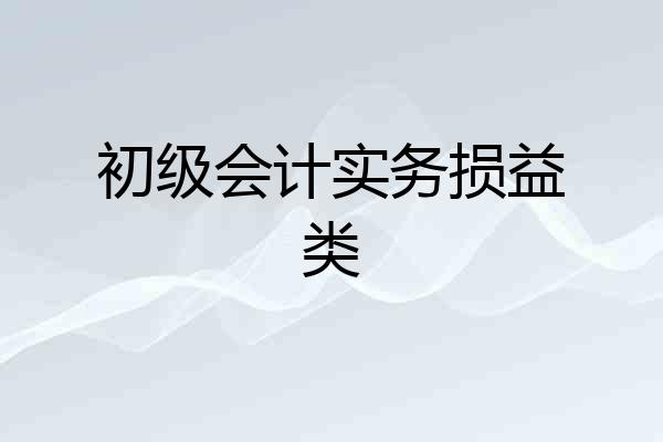 初级会计实务损益类