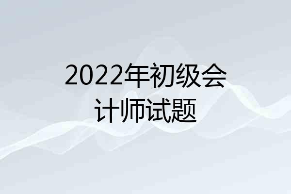 2022年初级会计师试题