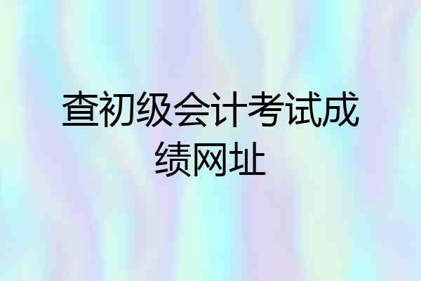 查初级会计考试成绩网址