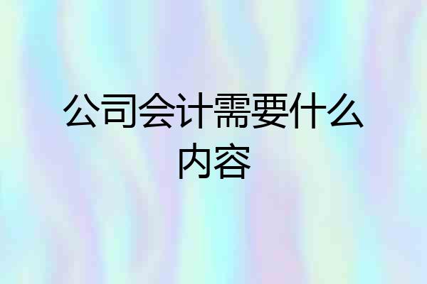 公司会计需要什么内容