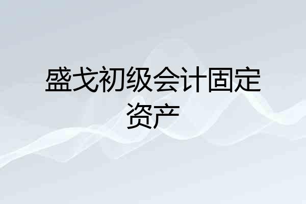 盛戈初级会计固定资产