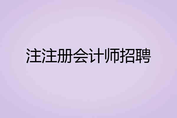 注注册会计师招聘
