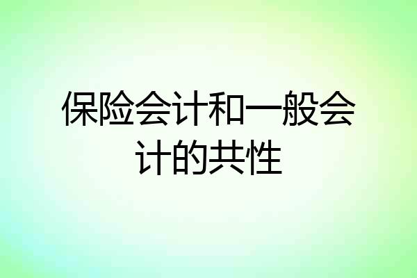 保险会计和一般会计的共性