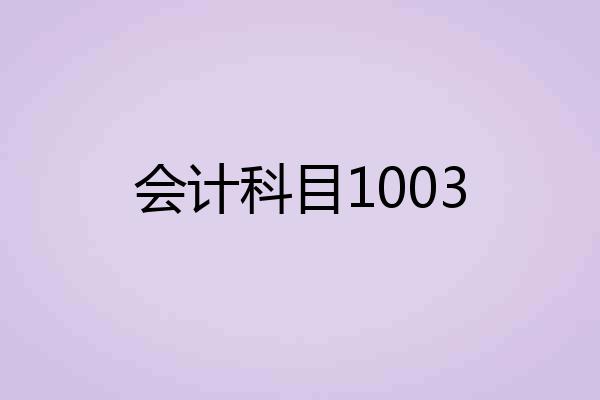 会计科目1003