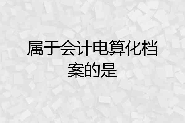 属于会计电算化档案的是