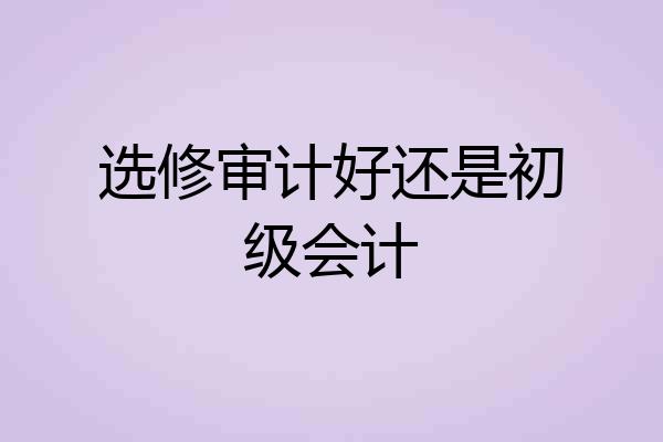 选修审计好还是初级会计