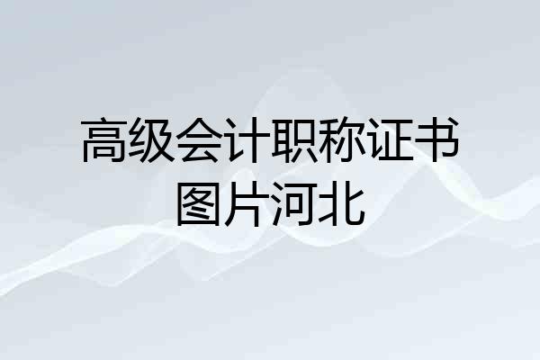 高级会计职称证书图片河北