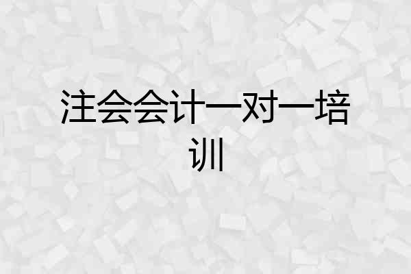 注会会计一对一培训