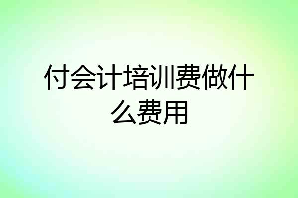 付会计培训费做什么费用
