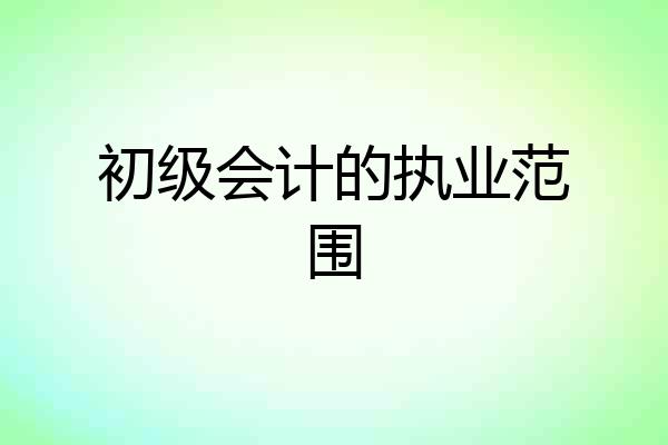 初级会计的执业范围