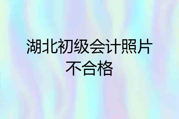 湖北初级会计照片不合格
