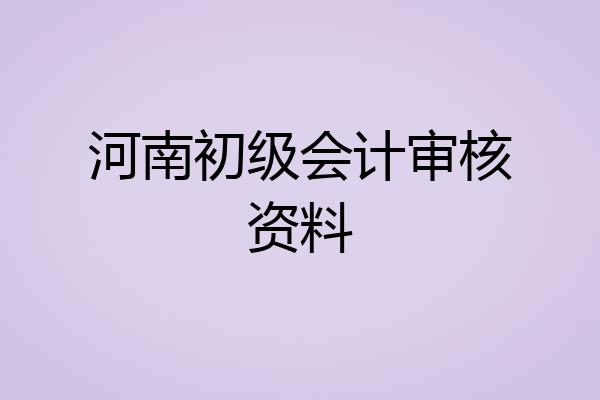 河南初级会计审核资料