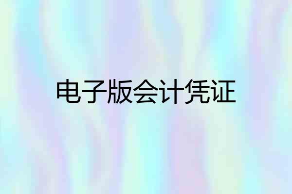 电子版会计凭证
