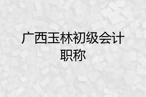 广西玉林初级会计职称