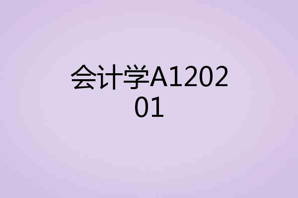 会计学A120201