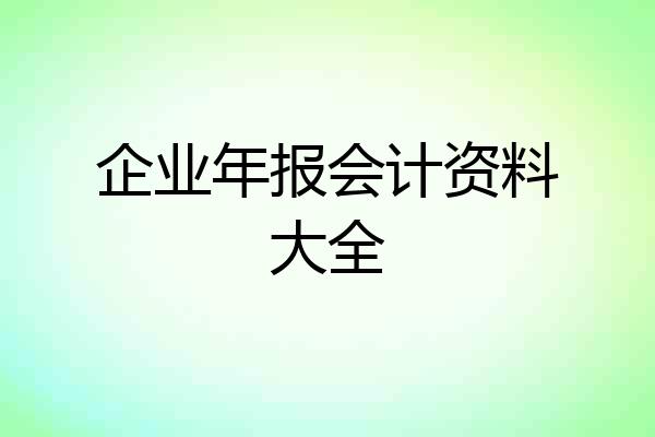 企业年报会计资料大全