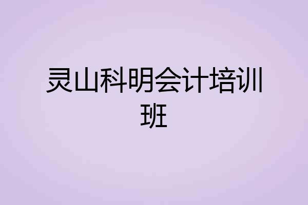 灵山科明会计培训班