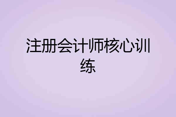 注册会计师核心训练