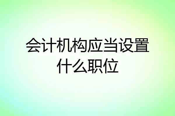 会计机构应当设置什么职位