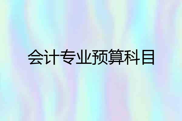 会计专业预算科目