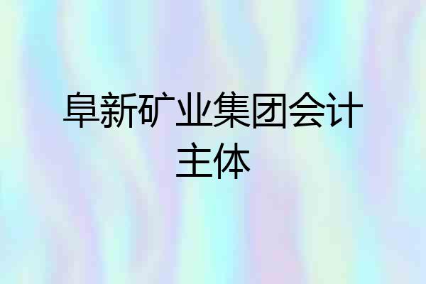 阜新矿业集团会计主体