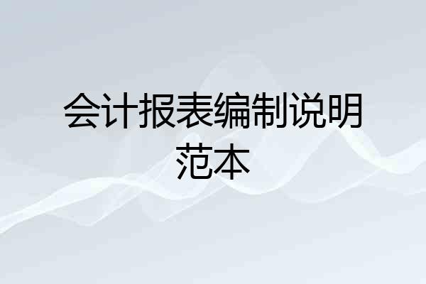 会计报表编制说明范本