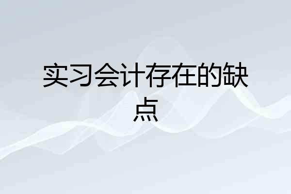 实习会计存在的缺点
