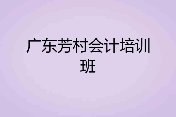 广东芳村会计培训班