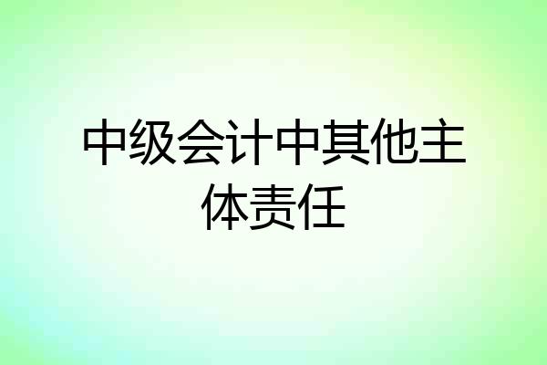 中级会计中其他主体责任