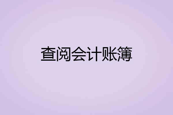 查阅会计账簿