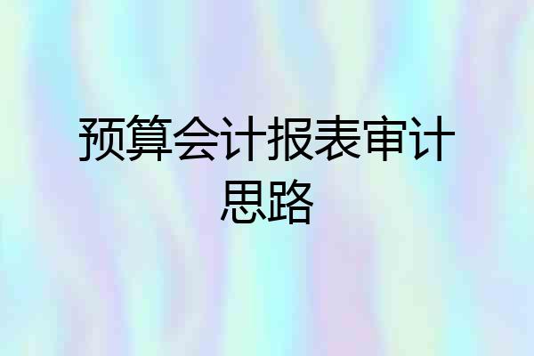 预算会计报表审计思路