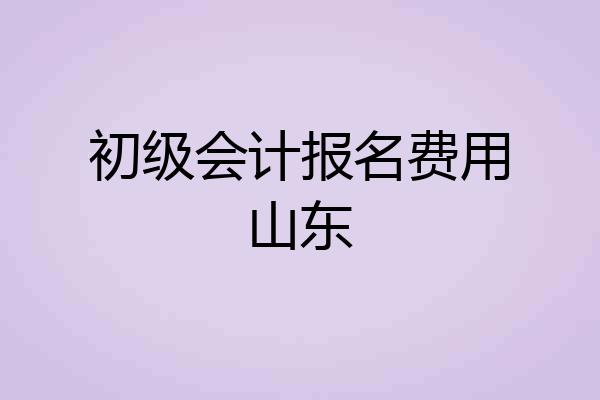 初级会计报名费用山东