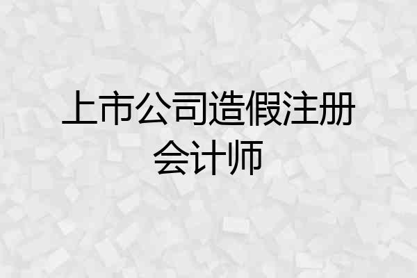 上市公司造假注册会计师