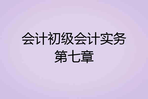 会计初级会计实务第七章