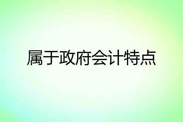 属于政府会计特点