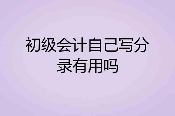 初级会计自己写分录有用吗