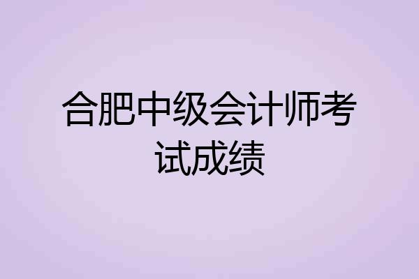 合肥中级会计师考试成绩