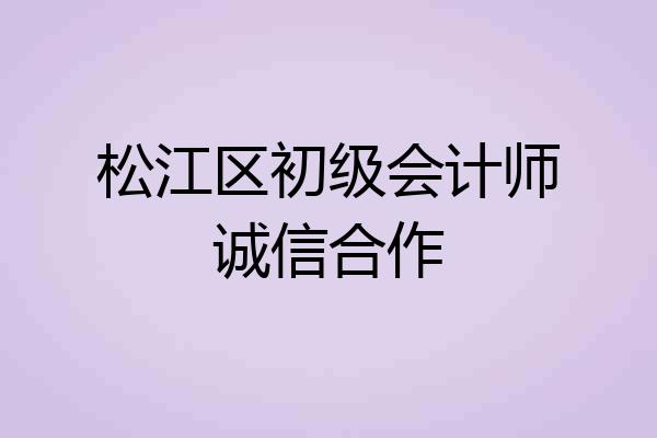 松江区初级会计师诚信合作