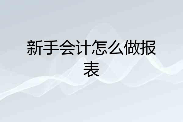 新手会计怎么做报表
