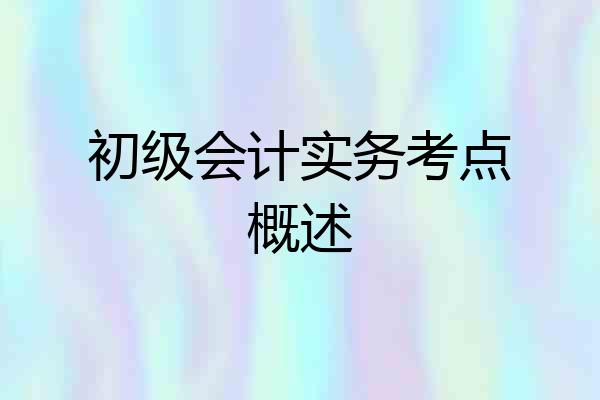 初级会计实务考点概述