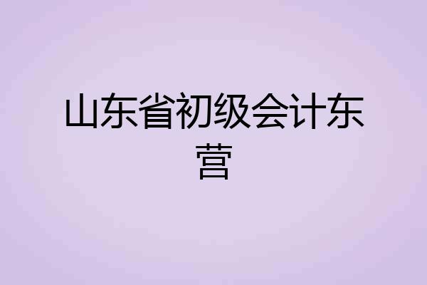 山东省初级会计东营
