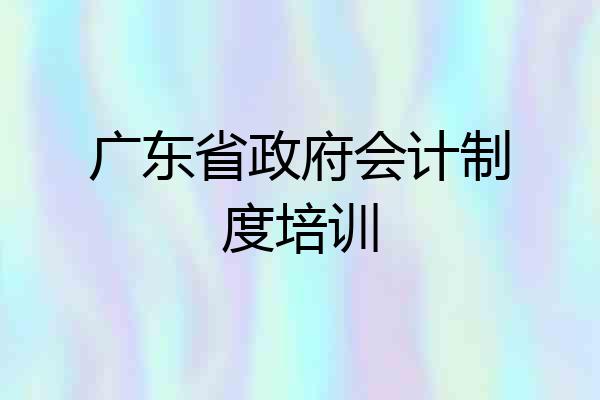 广东省政府会计制度培训