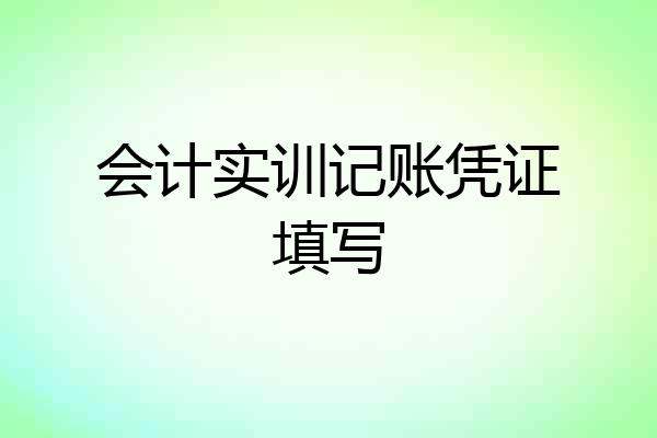 会计实训记账凭证填写
