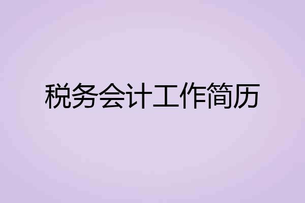 税务会计工作简历