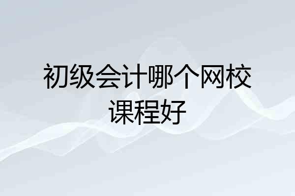 初级会计哪个网校课程好